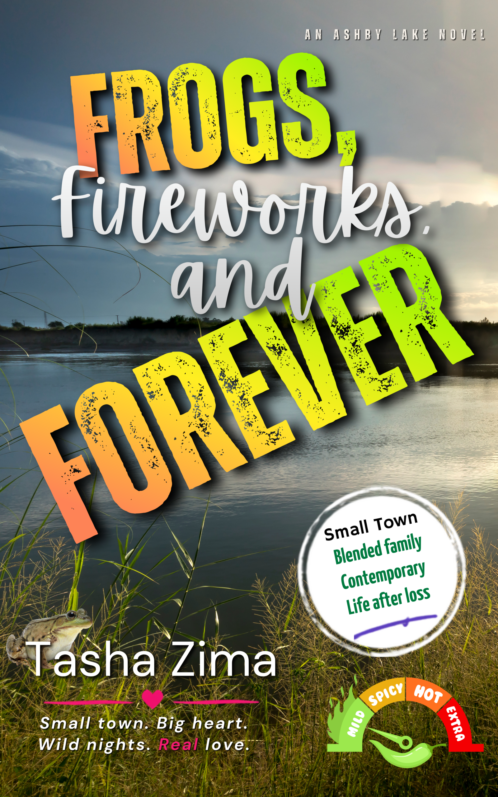 Frogs, Fireworks and Forever book cover